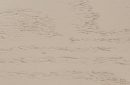 Oak Harbor Mist Sheer Oak Peppercorn